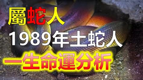 1989水蛇|1989年出生的屬蛇人一生的命運